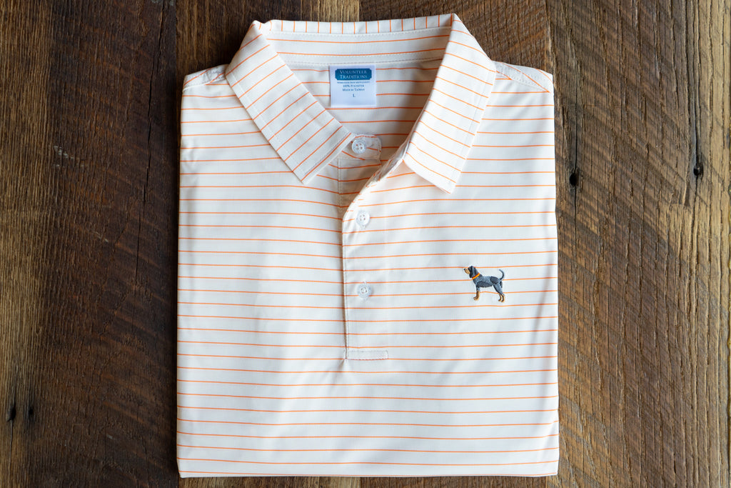 Bluetick Wide Stripe Polos