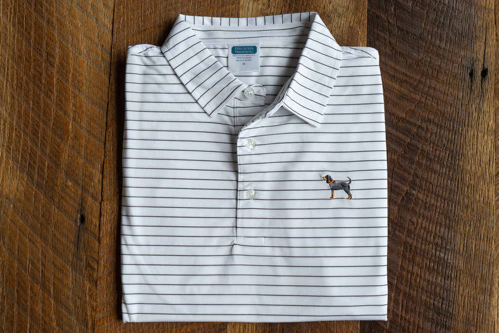 Bluetick Wide Stripe Polos