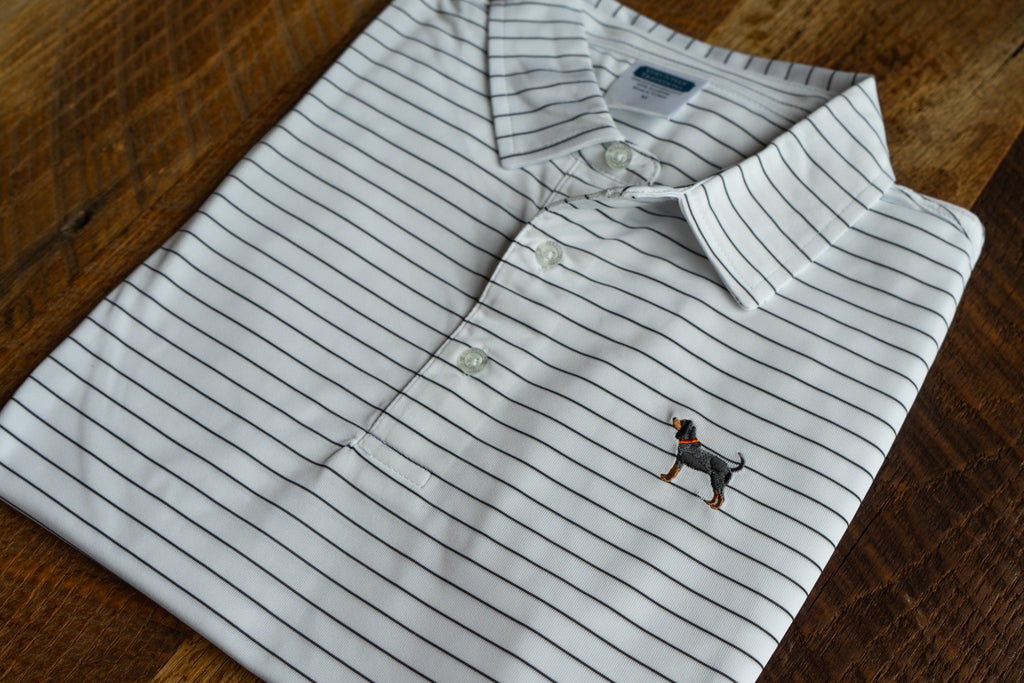 Bluetick Wide Stripe Polos