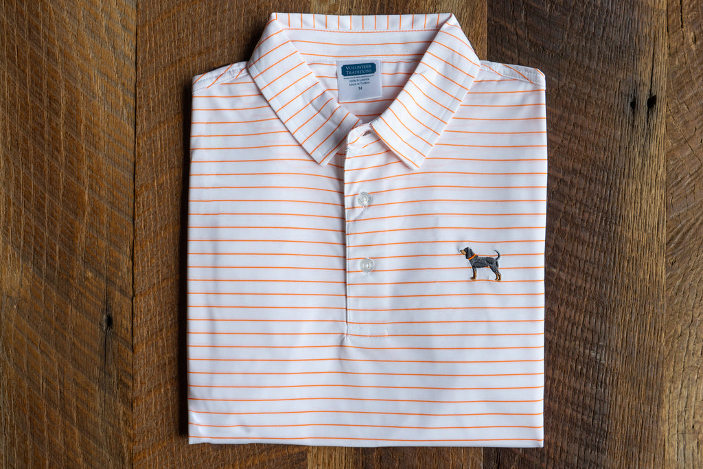 Bluetick Wide Stripe Polos