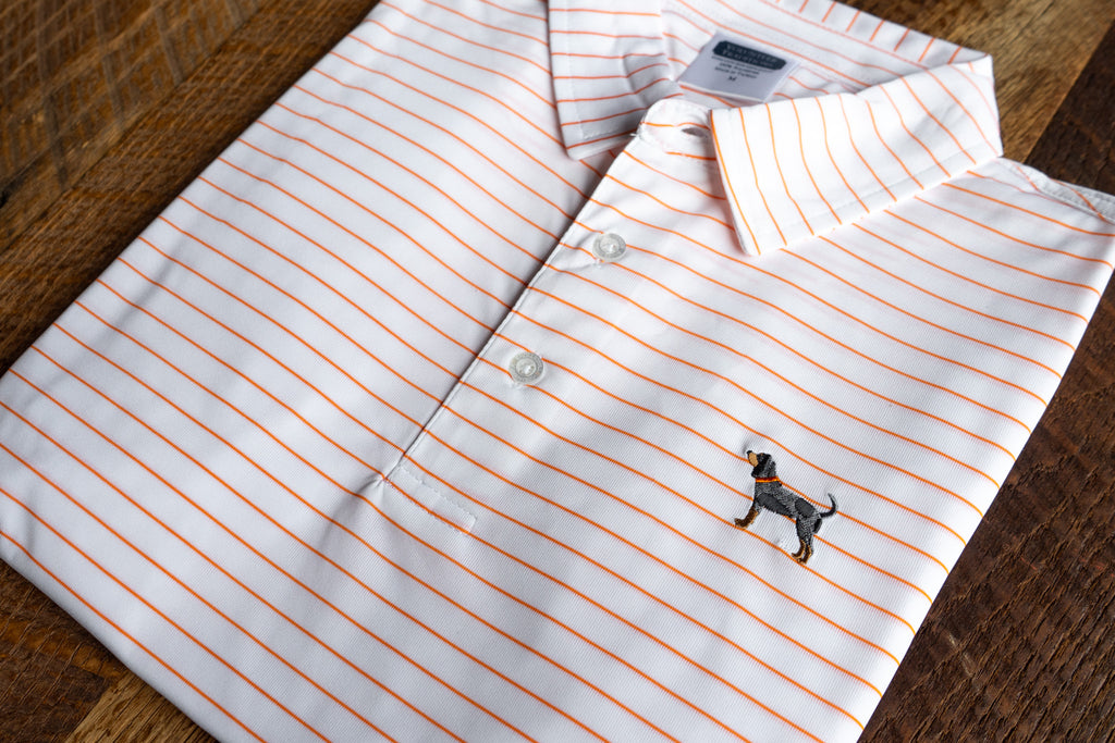 Bluetick Wide Stripe Polos