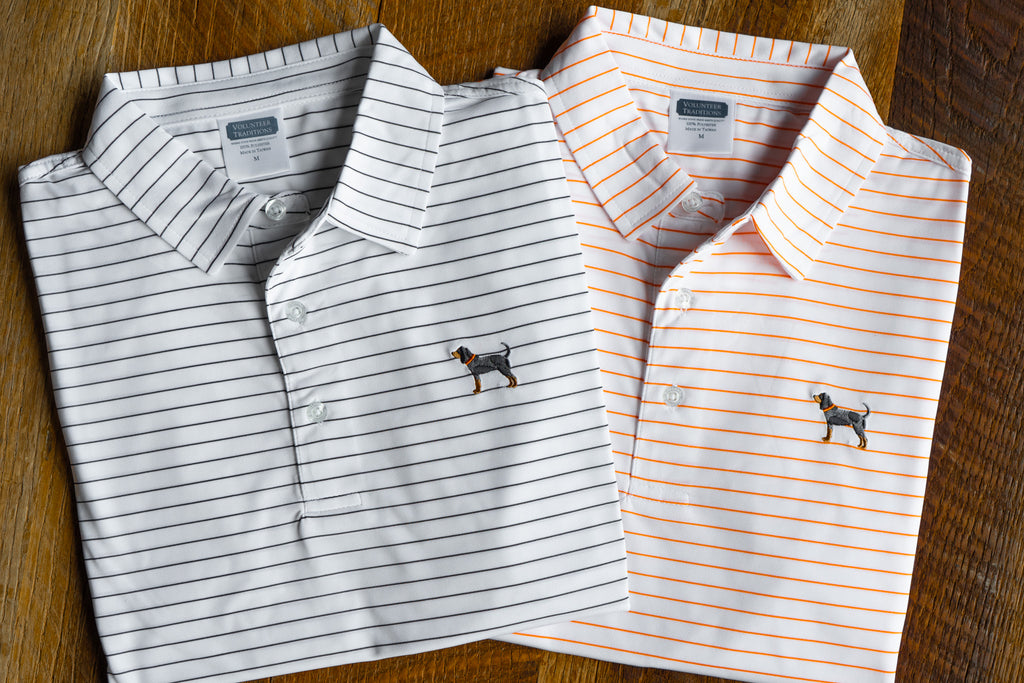 Bluetick Wide Stripe Polos